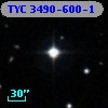 TYC 3490-600-1