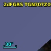 2dFGRS TGN307Z091