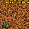 2dFGRS TGN284Z040