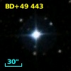 BD+49   443