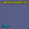 2dFGRS TGN317Z119