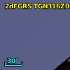 2dFGRS TGN316Z016