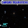 2dFGRS TGS917Z313
