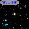 NSV 14286