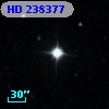 HD 238377