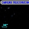 2dFGRS TGS239Z206