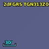 2dFGRS TGN313Z032