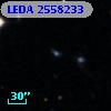 LEDA 2558233