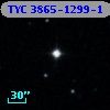 TYC 3865-1299-1