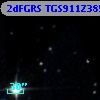 2dFGRS TGS911Z385