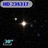 HD 238317