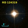 HD 124319