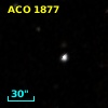 ACO  1877