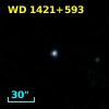 WD 1421+593