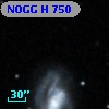 NOGG H  750