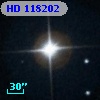 HD 118202
