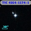 TYC 4164-1174-1