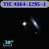 TYC 4164-1295-1