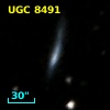 UGC  8491
