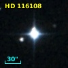 HD 116108