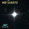 G 238-31