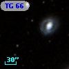 TG  66
