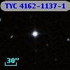 TYC 4162-1137-1