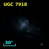 UGC  7918