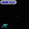 HNM   313