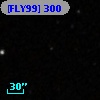 [FLY99]  300
