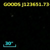 GOODS J123651.72+621220.5