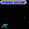 [TSW99] 1077.00