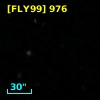 [FLY99]  976