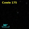 Cowie 175