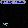 [TSW99] 1029.00