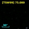 [TSW99]   75.000