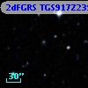 2dFGRS TGS917Z239