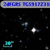 2dFGRS TGS917Z310