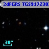 2dFGRS TGS917Z302