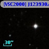 [VSC2000] J123930.42+615433.5