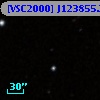 [VSC2000] J123855.25+621326.9