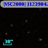 [VSC2000] J123904.74+615750.9