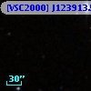 [VSC2000] J123913.59+615245.3