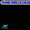 NAME SMM J123616+621516