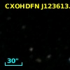 CXOHDFN J123613.1+621224