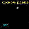 CXOHDFN J123619.1+622419