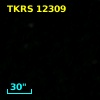 TKRS 12309