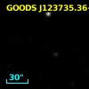 GOODS J123735.36+621354.4