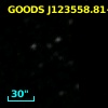 GOODS J123558.81+621542.2