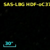 SAS-LBG HDF-oC37